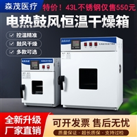 电热恒温鼓风干燥箱烘干箱实验室43L304不锈钢
