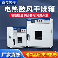 电热恒温鼓风干燥箱烘干箱实验室16L不锈钢内胆