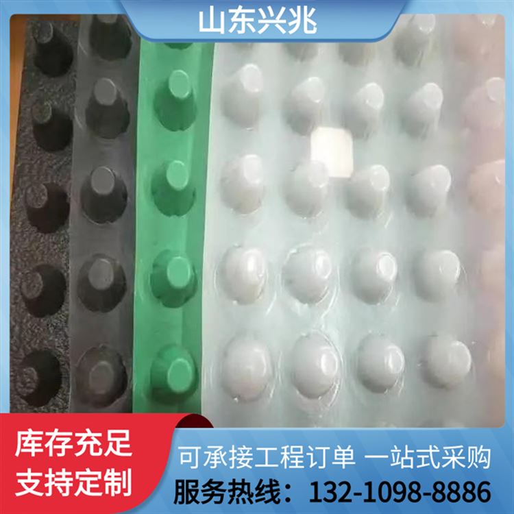 建材 排水板 蓄水板 凹凸塑料排 水板 凹凸型绿化塑料蓄排 厂家