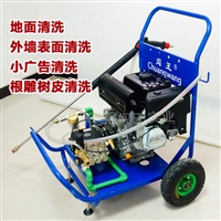 根雕树皮清洗机  闯王高压大流量冷水机  移动高压清洗机