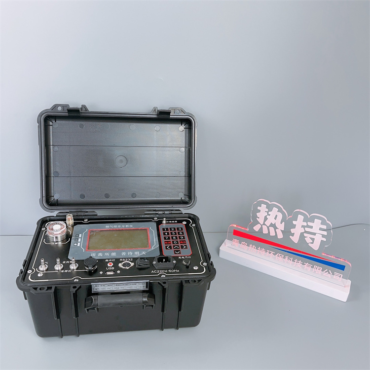 RC-3076型烟气综合分析仪 采用进口流量传感器 自动监测采样泵