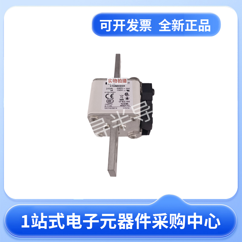 进口伊顿170M4660 巴斯曼170M4661 熔断器170M4662 170M4663 现货 23+