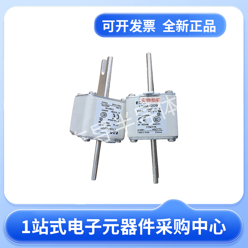 伊顿巴斯曼熔断器170M4208 170M4209 170M4210 170M4211现货23+
