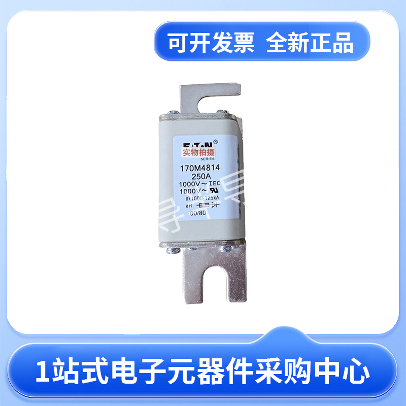 伊顿巴斯曼熔断器170M4814 170M4815 170M4822 170M4823现货23+