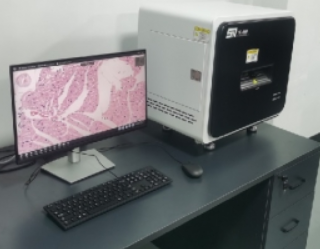 病理切片扫描仪BL-006