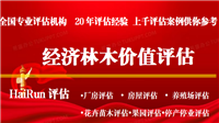 冕宁评估机构无证房屋损失评估