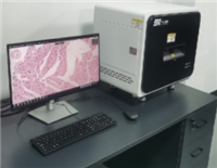 病理切片扫描仪BL-006