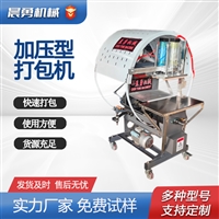 晨勇全自动捆扎机Cy-双压-400