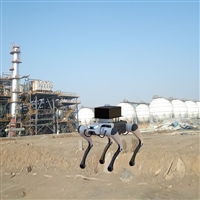 机器狗气体巡航监测仪器 自主规划路线四足机器狗