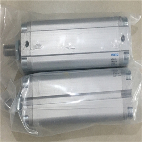 FESTO小型标准气缸DSBC-63-700-PPVA-N3