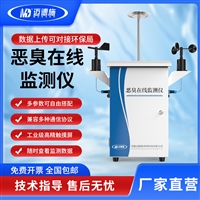 在线恶臭气体检测仪 化工厂垃圾站 臭气养殖场臭味环境监测系统