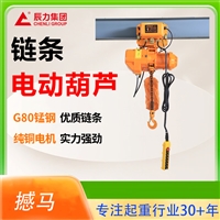 电动葫芦1吨 链条电葫芦 舞台防爆起重葫芦 环链吊葫芦升降机 辰力