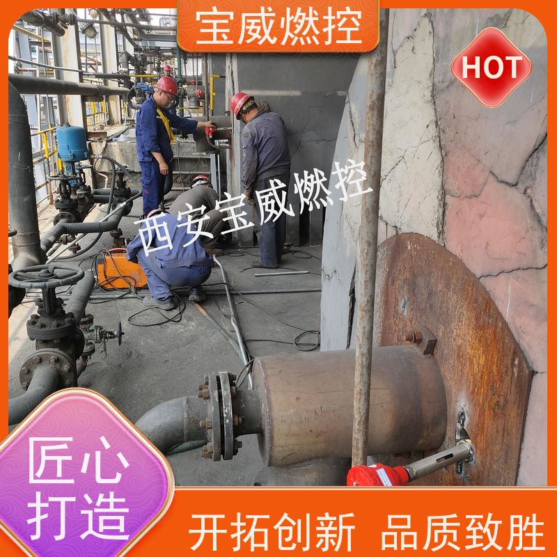 宝威燃控 可非标加工 锅炉火焰检测器 防爆分体式 快速响应