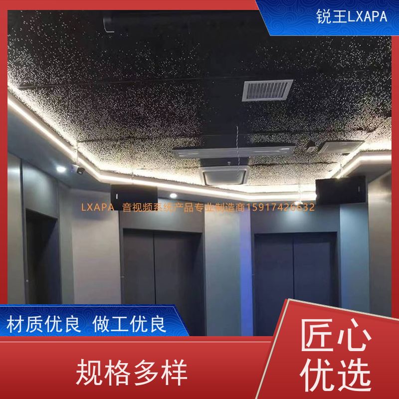 锐王LXAPA 高音通透细腻 多功能厅 舞台功放 公共广播