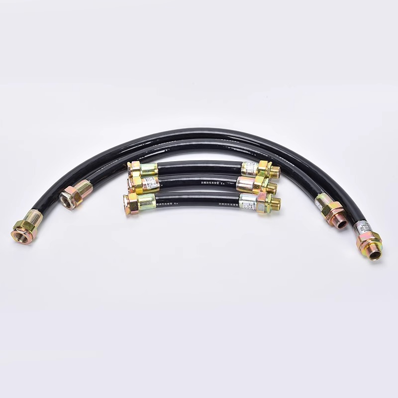 BNG防爆挠性管4分防爆挠性管不锈钢穿线管DN15DN20挠性连接管定制