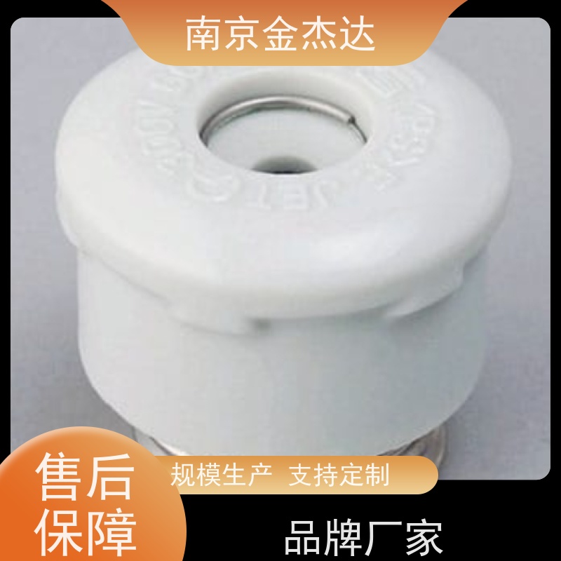 低压限流熔断器BLC023-1 进口FUJI富士电机 保险丝CS5F-100