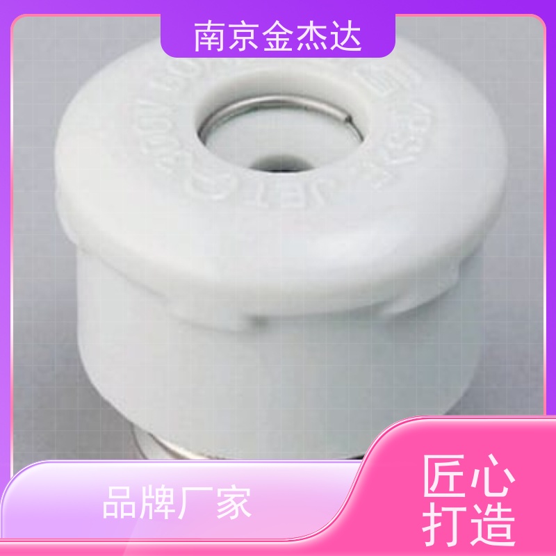 日本FUJI富士 过渡电流强的保险丝 CR2L-50G/UL 可用于变压器
