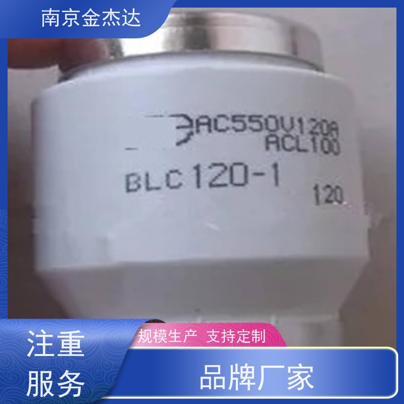 Fuji Electric 富士电机 插头式熔断器 AFAC-3 保险丝 BLA005