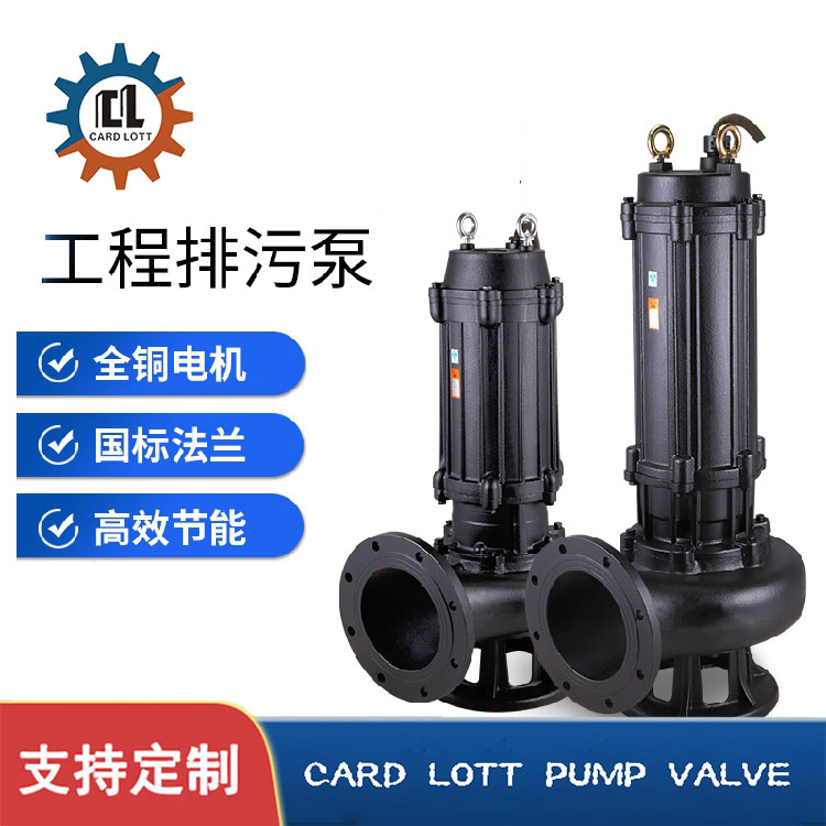 进口国标排污泵法兰无堵塞高扬程大流量污水市政工程排涝全铜电机