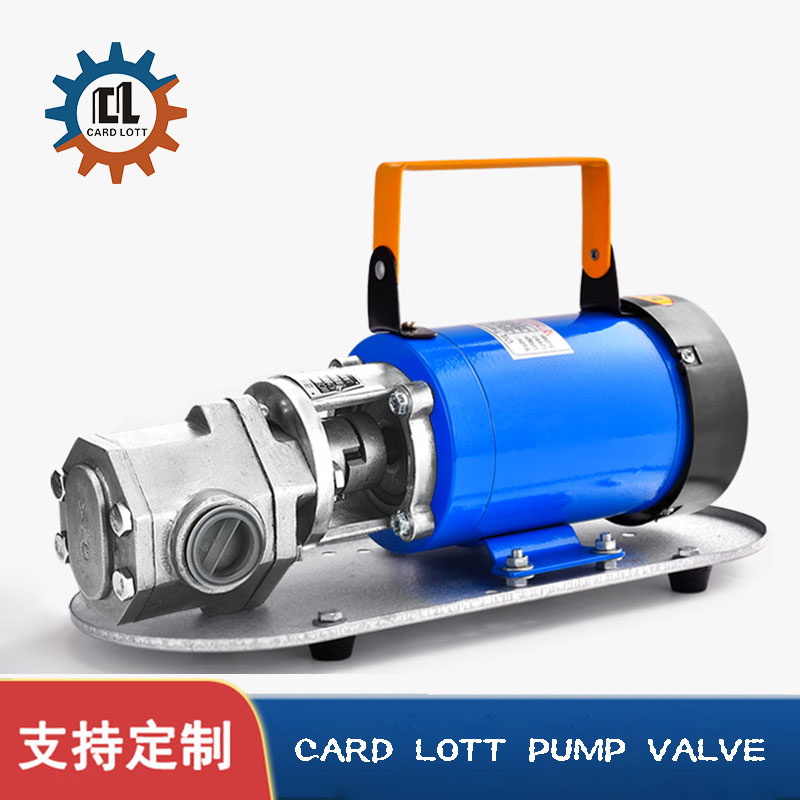 进口12V24V电动抽油泵 自吸不锈钢齿轮泵 高粘稠度机油食物油泵