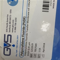 1212639  GVS吉威斯PVDF转印膜孔径0.45um  30cmx3m1卷
