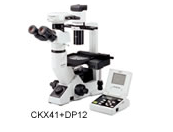 日本OLYMPUS奥林巴斯临床级倒置显微镜CKX41
