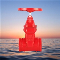 台湾东光沟槽闸阀