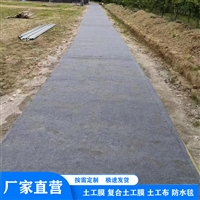 许昌鱼塘护坡水泥毯 水泥毯盖养殖顶 水泥毯做仓库地面