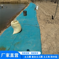 山东农业水利水泥毯 鱼塘护坡水泥毯 养殖池防渗毯
