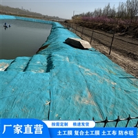 崇左农业基地排水沟水泥毯 高强度沟渠水泥毯坑塘 堤坝防护水泥毯