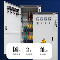 泳池成套自控PLC控制柜-老牌厂家深度定制