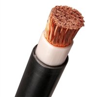 3GKW-RW/S 0.6/1KV薄壁多芯电缆