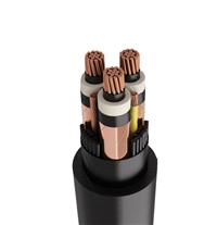 3GKW-RW/S EMC 0.6/1KV  薄壁多芯屏蔽电缆