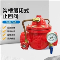 台湾东光300X型缓闭式止回阀