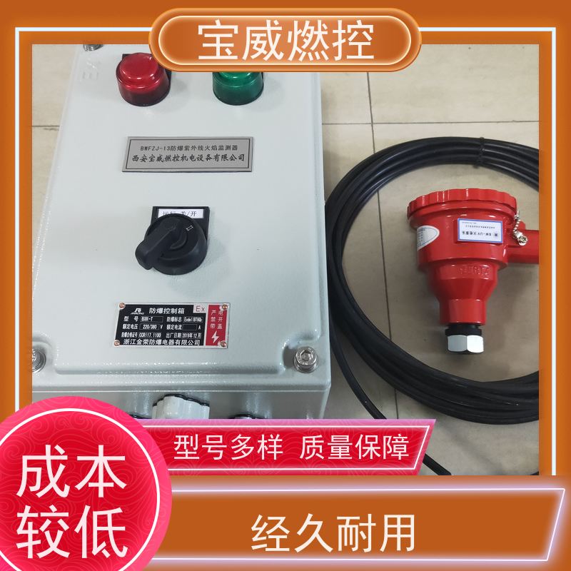 宝威燃控 快速响应 厂家供货常备库存 防爆分体式 工业火焰检测设备