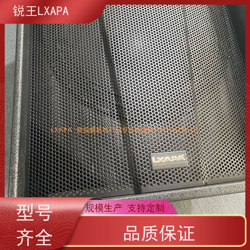 锐王LXAPA 多媒体数字会议系统 全频无源音箱 教室 声音清晰