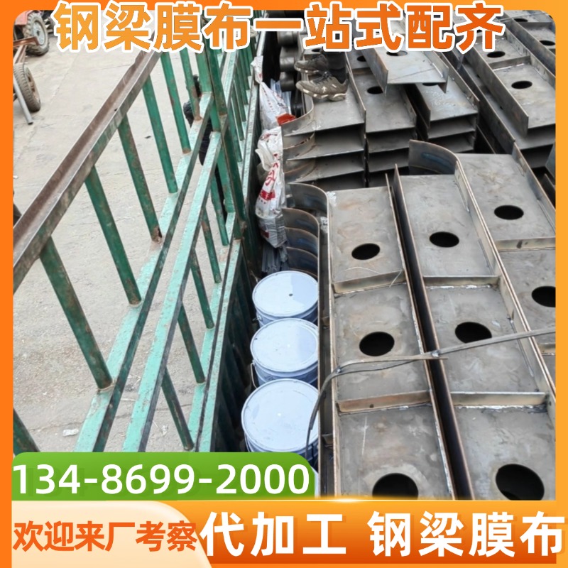 制作安装一平方米PTFE膜布停车棚材料加工定做选启顺