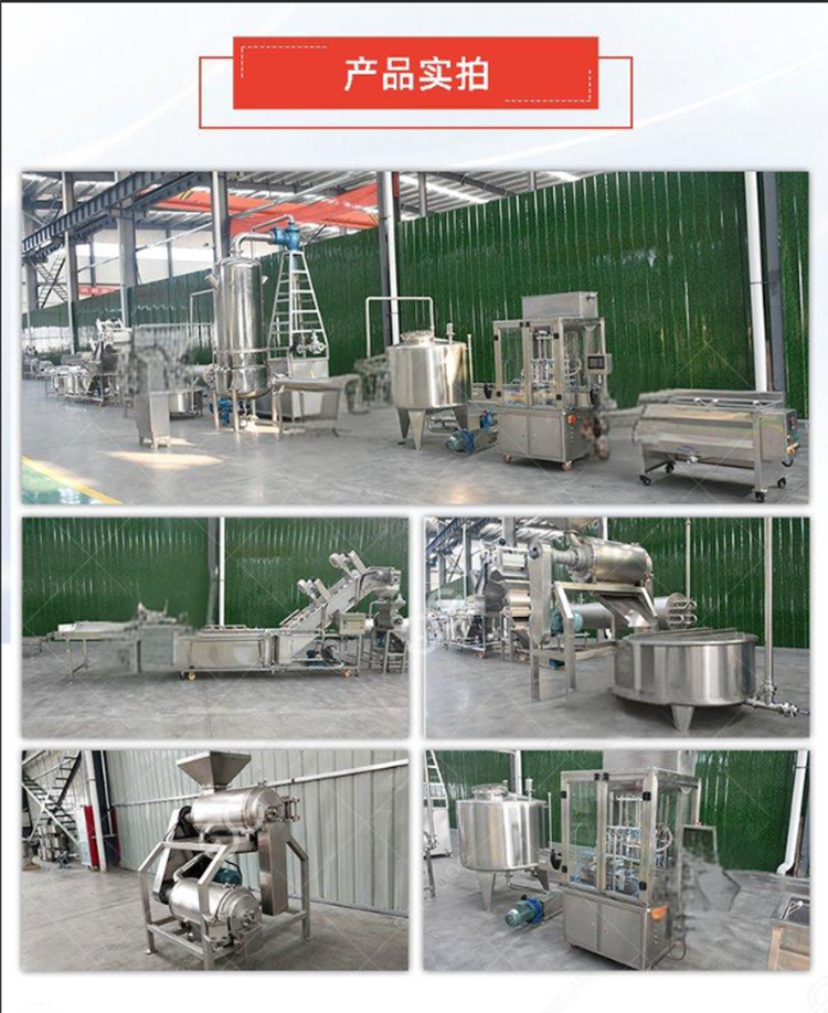 蓝莓果酱生产设备 含破碎、蒸煮、浓缩、灌装、包装整套解决方案