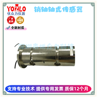 15KN销轴式测力传感器 XZNZB-A-15kN支持定制各量程