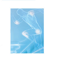 国产版运动医学手术导航V1