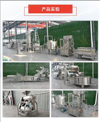 蓝莓果酱生产设备 含破碎、蒸煮、浓缩、灌装、包装整套解决方案