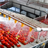 中意隆 成套番茄酱生产线 清洗到灌装全流程自动化设备