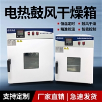 电热恒温鼓风干燥箱烘干箱实验室71L304不锈钢