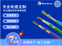 UL2835P 60℃ 30V PVC网线 屏蔽