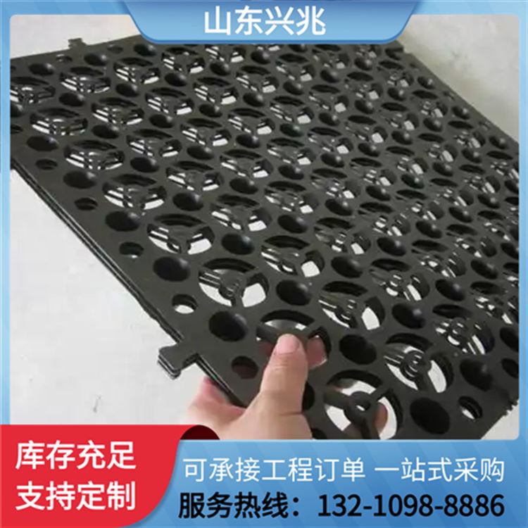 隧道专用HDPE排水板 2.0cm规格 高效排水 建材家装必备
