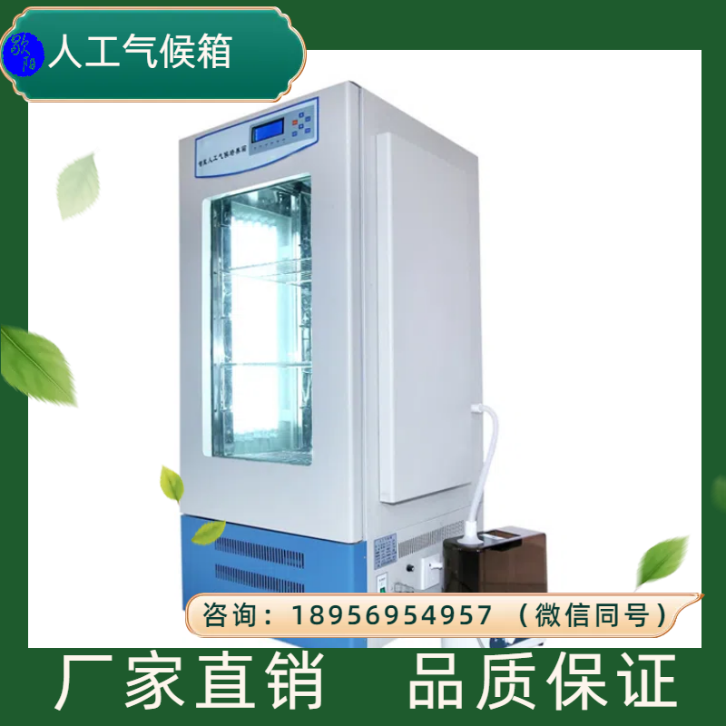 80L四面人工气候培养箱厂家RGX-80F型