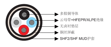 P5或P5/P12 BFOU 0.6/1KV