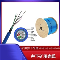 光纤MGTSV-8芯