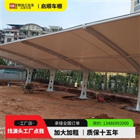 西藏膜结构通道雨棚，门头雨篷膜布更换经验足