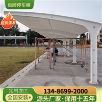 泰顺厂房墙体钢结构雨棚定制与造价控制方案